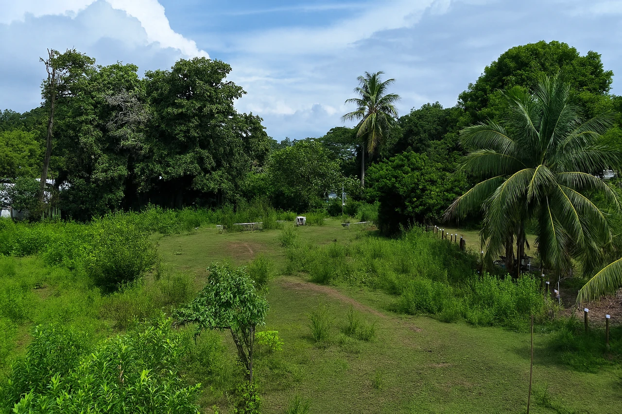 Walk to the beach, Developement Land, Mini Ranch, Central Uvita - Gallery image 17