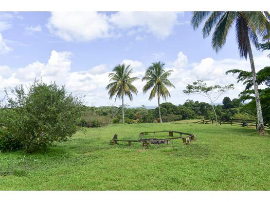 Serene Jungle Farm in Limon Province - Gallery image 67