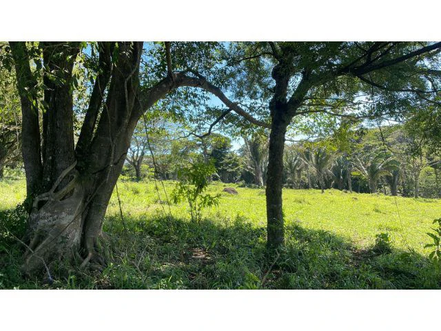 Nature Paradise Farm for sale in the mountains of Quebrada Grande, Building potential property 30 minutes away from Liberia - Gallery image 36