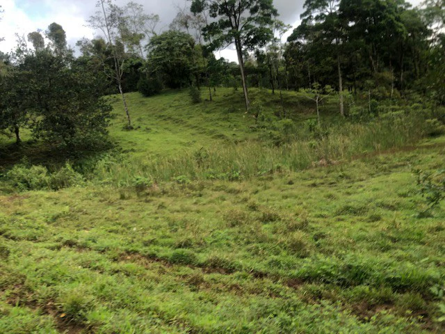 Cold & Hot springs surrounded by an overgrown farm, taken back by nature - Gallery image 16