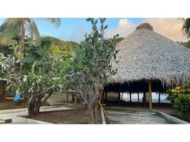 Top private property or Hotel Ground for Sale  Fascinating ocean island landscape views, in front of the future new island port, newly built massive ranchos, and luxury swimming pools - Gallery image 6