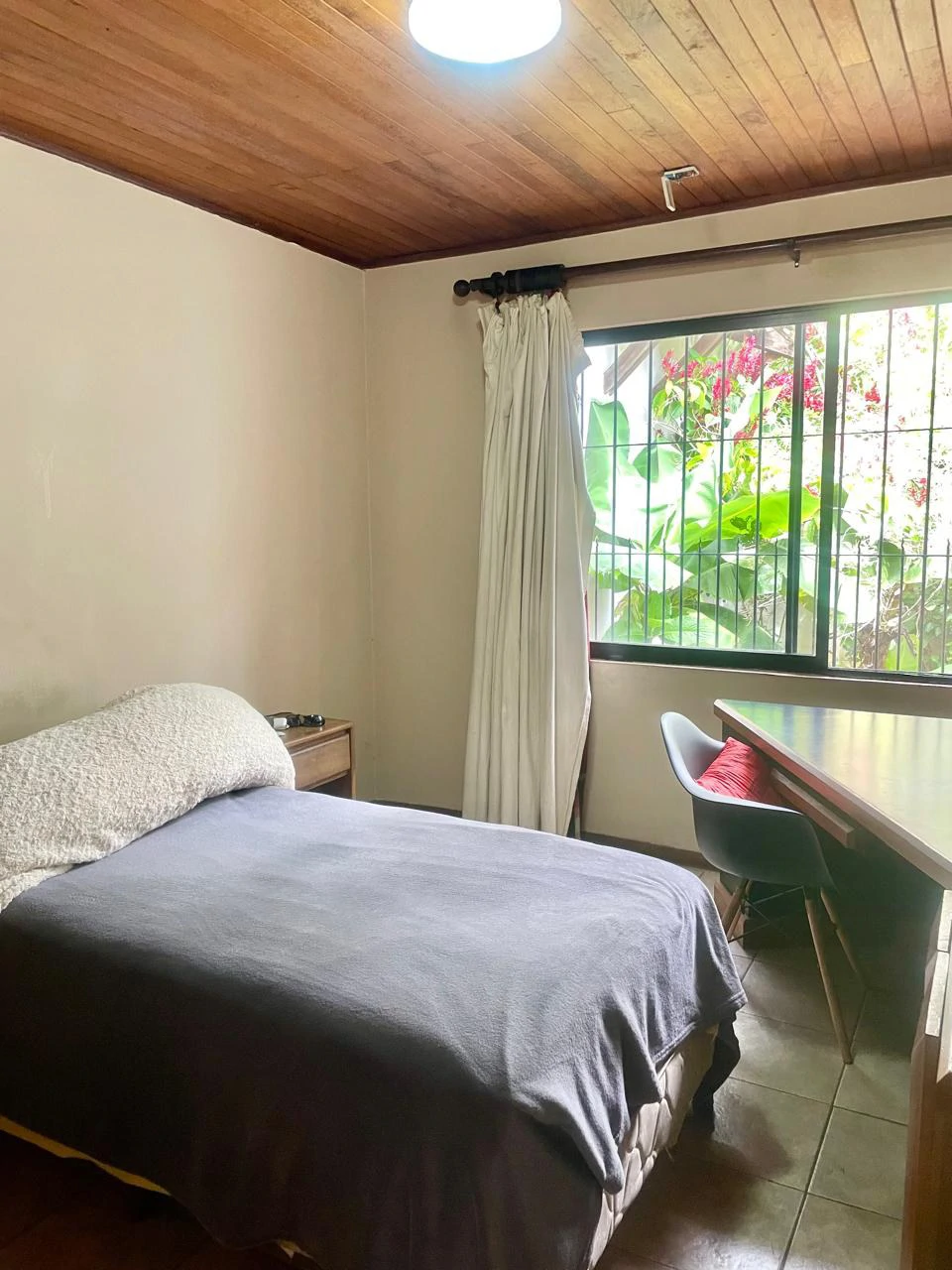 House to Remodel with 1,700 sq m of Land in Pozos, Santa Ana - Gallery image 22