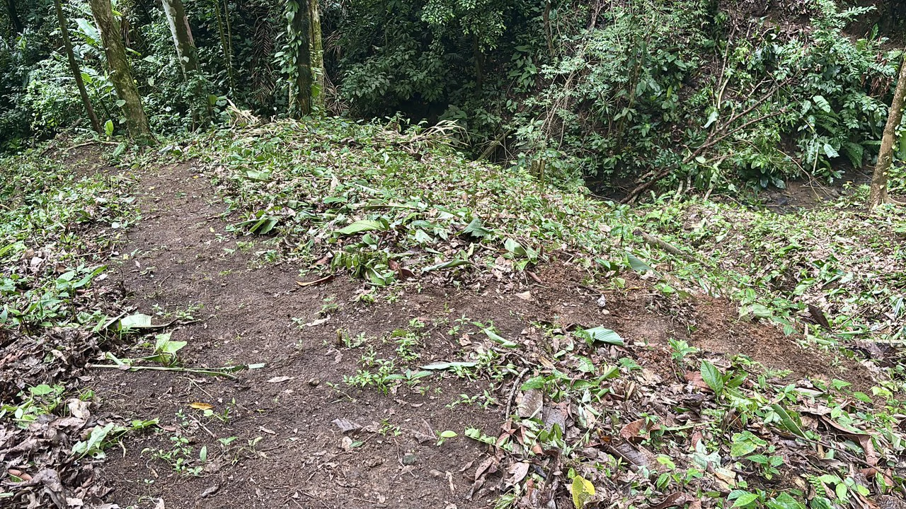 Unique property with creek and waterfall in lush jungle: Mountain Home Construction Site For Sale in Damas - photo 13