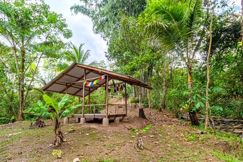 Casa San Pedrito: Beautiful house for sale in San Pedrito,(1,3hect) Perez Zeledon - Gallery image 14