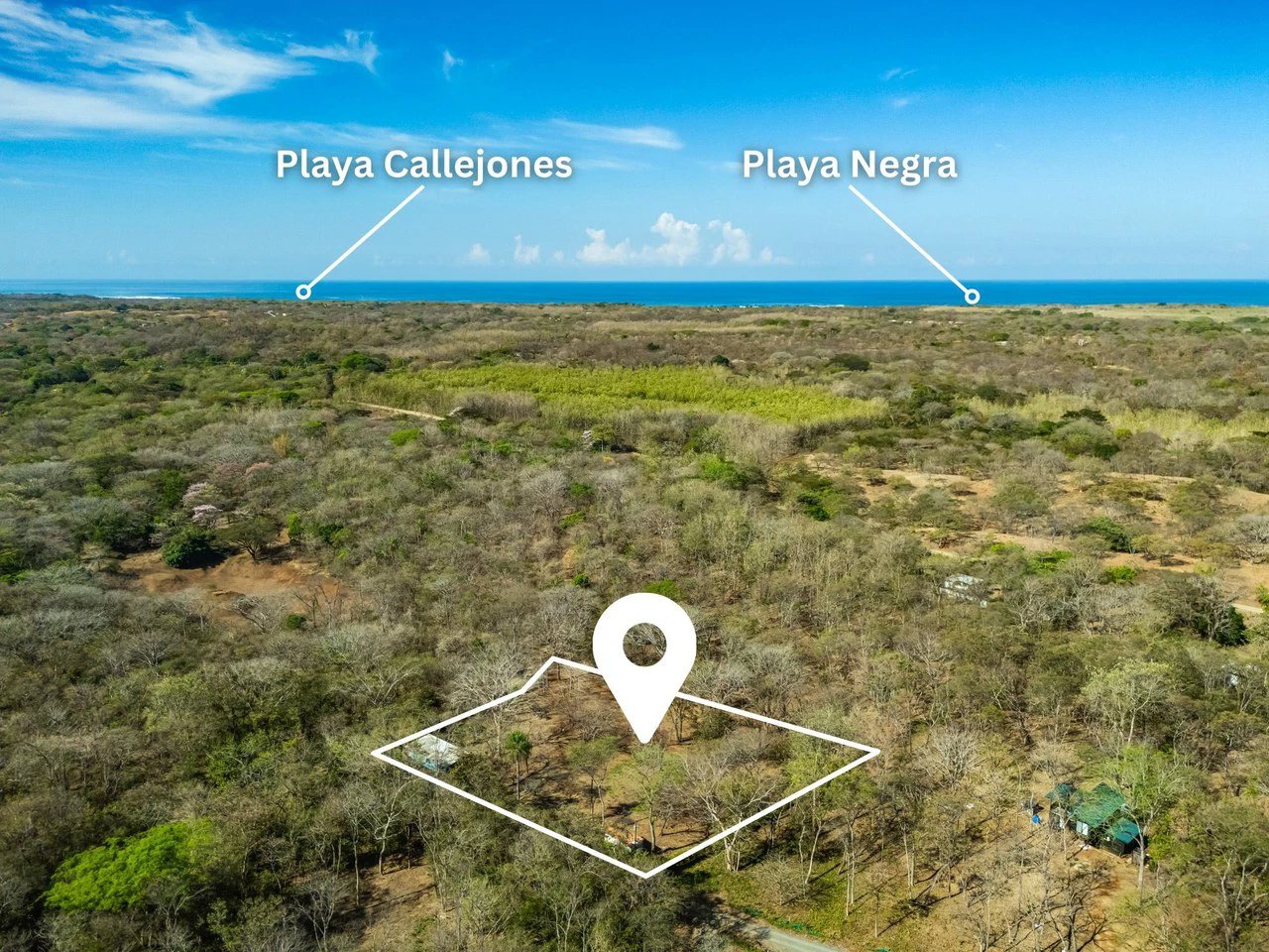 Casa Jungle: Jungle Lot with Container Home 10 min from the beach - Gallery image 7