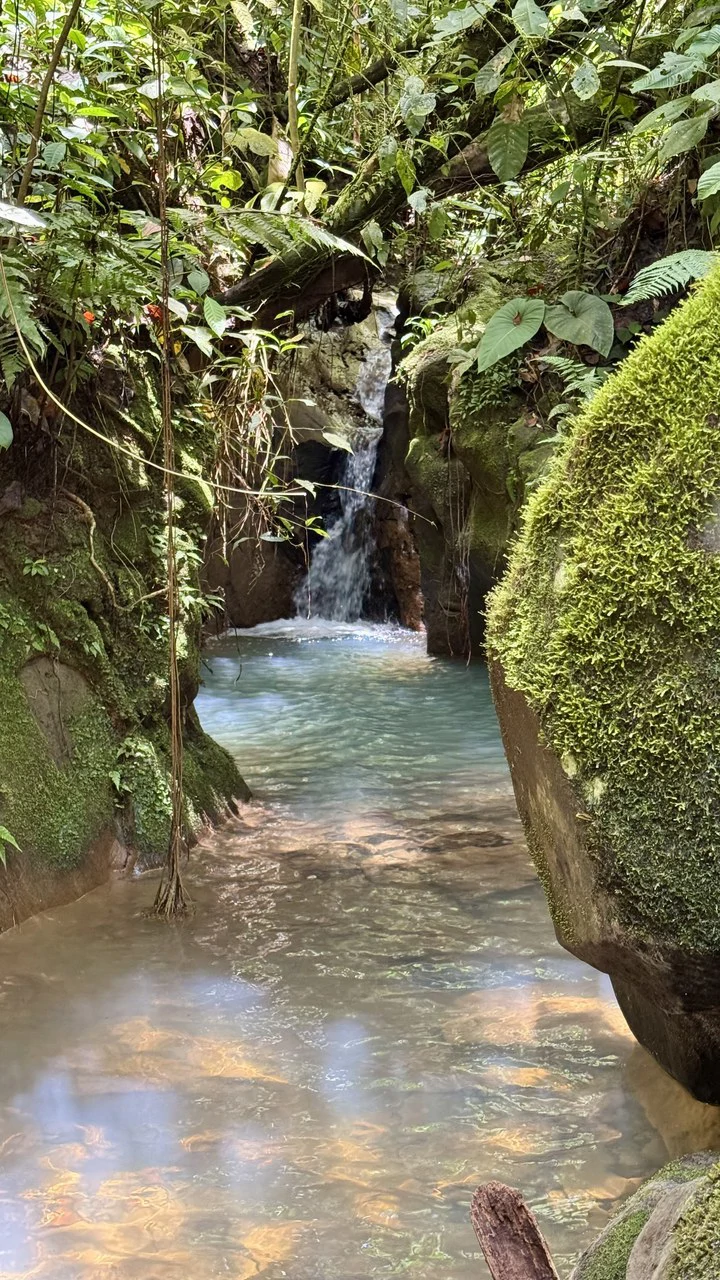 Spring, Waterfalls and more!  Farm in San Vito Limoncito! - Gallery image 23