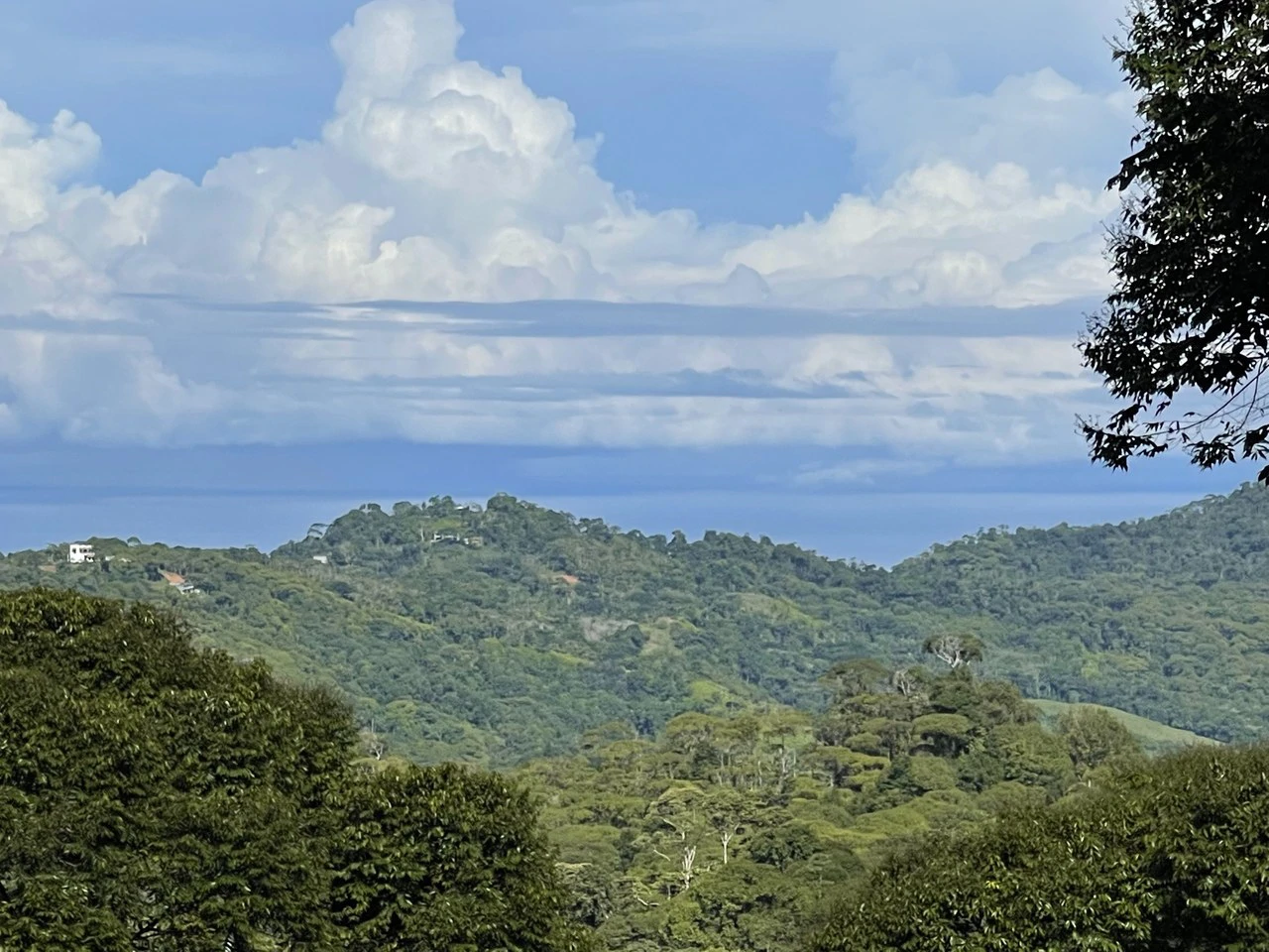 Ocean View Forest Reserve with Private Homesite Near Tinamastes