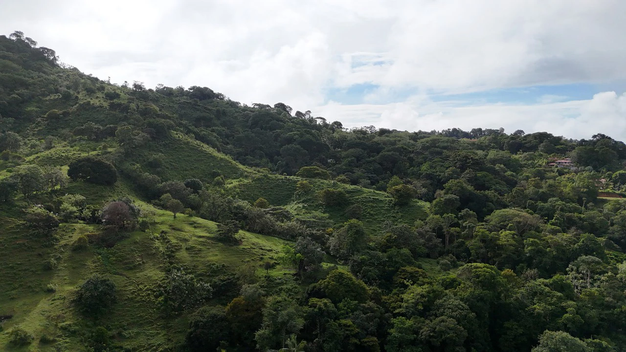 Exceptional Ocean & Mountain View Property in Pinuela Arriba, Costa Rica - Gallery image 14