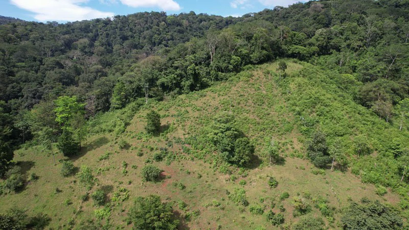 Ocean View & Primary forest 55-ha Rincon de Osa - Gallery image 11