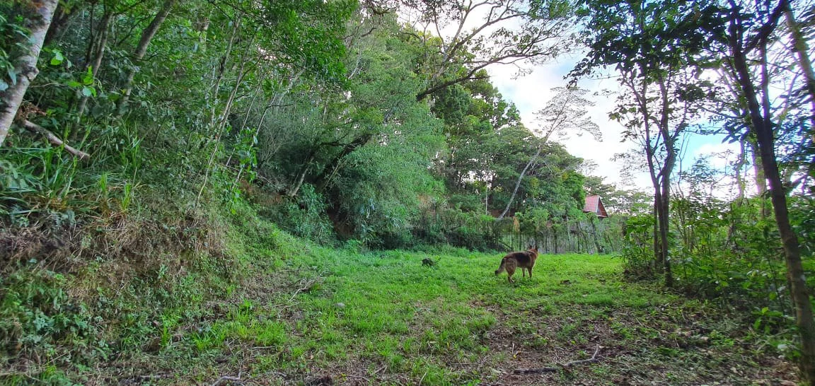 Home Construction Site For Sale in Aserrí - Gallery image 7