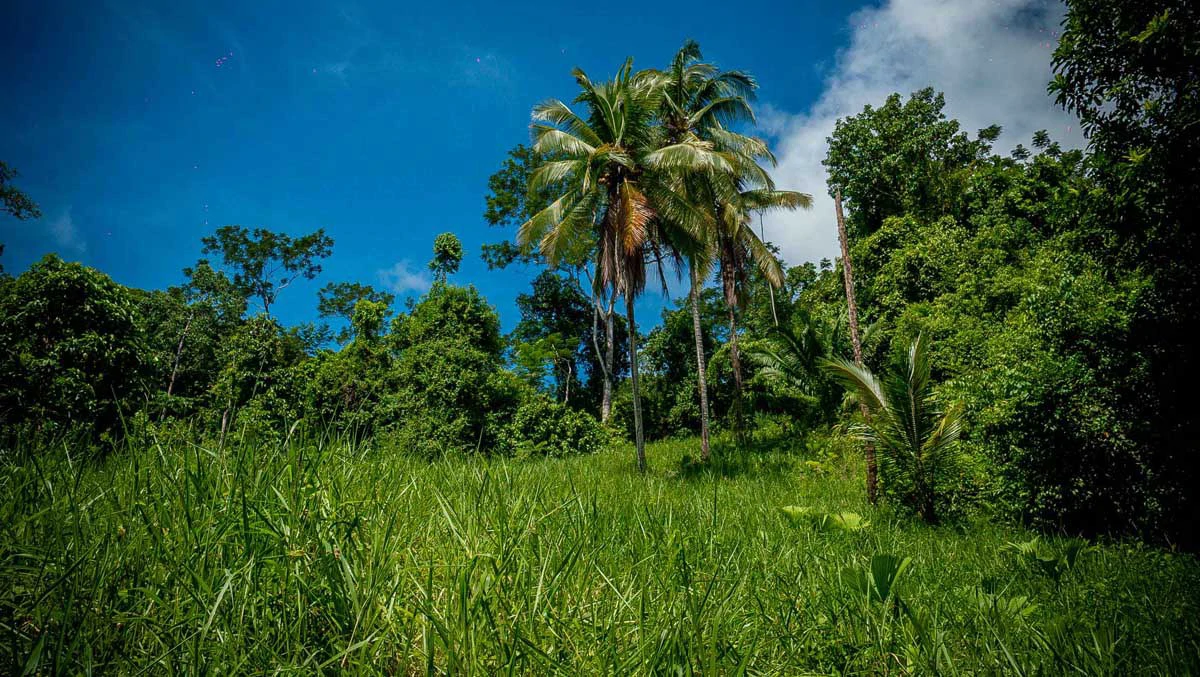 Rincon Mountain Land Gulf View | A Breathtaking Landscapes of Rincon - Gallery image 24