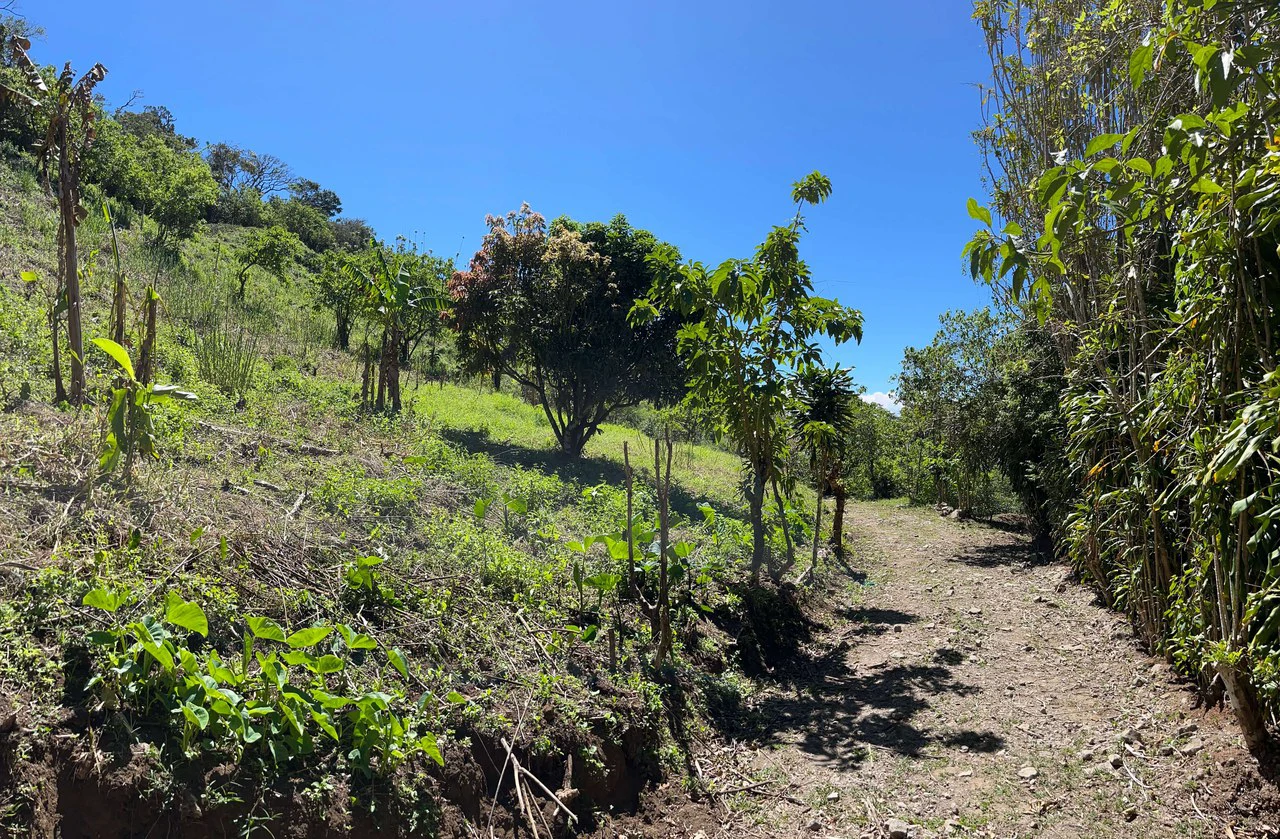 A Lifestyle Canvas with Gulf Views: 5 Hectares Near Monteverde CE0224: Build Your Dream Lifestyle: 5 Hectares with a million dollar Ocean Views & Sunset Magic Near Monteverde - Gallery image 8
