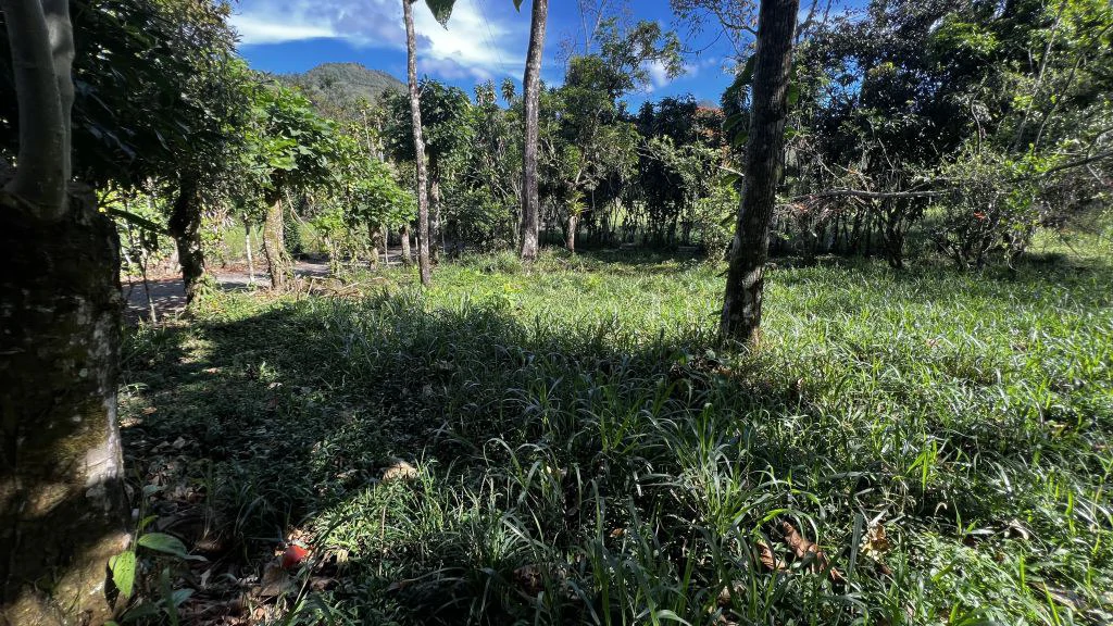 Mountain Home Construction Site For Sale in Guadalupe - photo 5