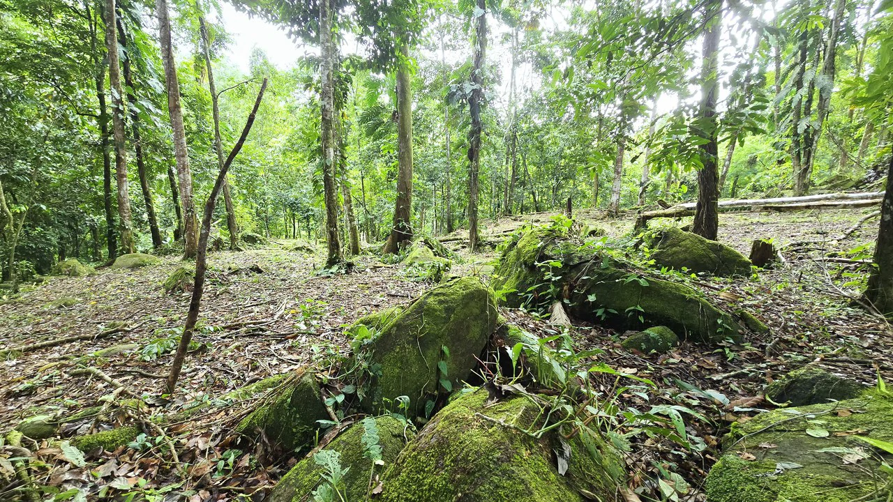 Near the Coast Home Construction Site For Sale in Uvita - photo 10