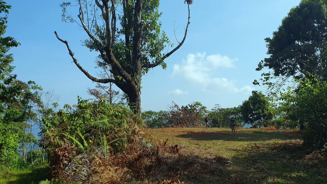 CONSERVATION AND DEVELOPMENT LAND WITH OCEAN VIEW IN SIERPE, COSTA RICA - Gallery image 25