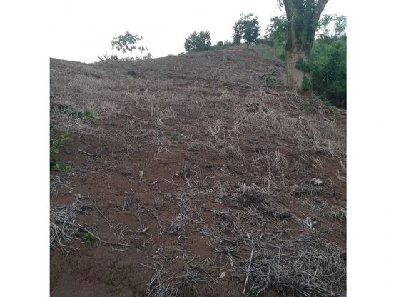 Home Construction Site For Sale in Bijagual - Gallery image 5