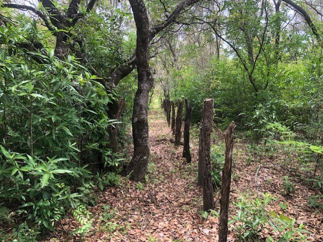 Mountain Farm for Sale in Liberia – Nature, Privacy, and High Investment Potential - Gallery image 37