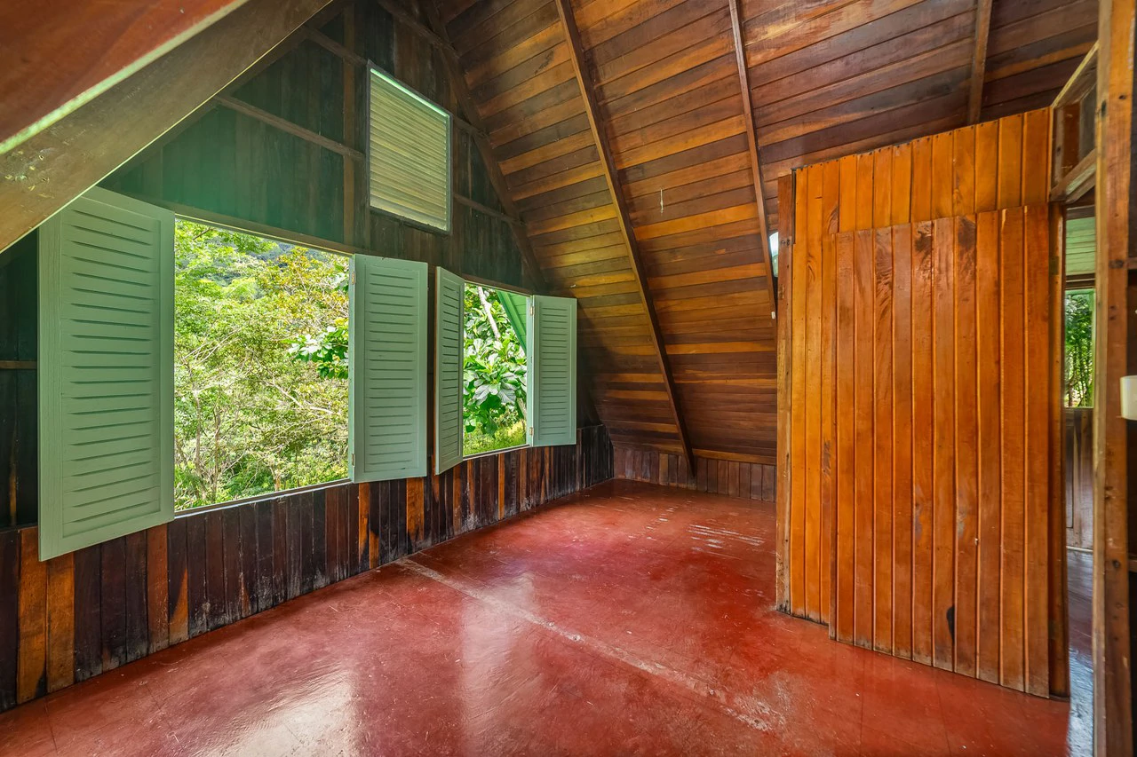 Casa Verde: Your Green Dream - Gallery image 23