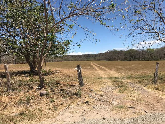 Huge terrain for sale in Guardia close to the International Airport of Liberia - Gallery image 41