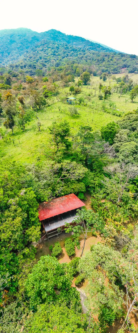 Casitas Tenorio B&B: Turnkey Eco-Lodge in Bijagua: Profitable Business, Sustainable Luxury, and Breathtaking Nature - Gallery image 31