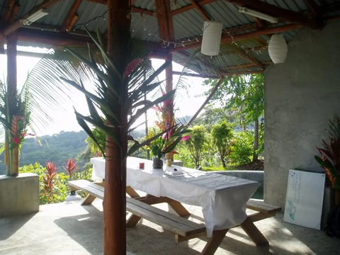 Osa Peninsula, Carate Beach: Incredible Ocean View above the Pacific - Gallery image 19