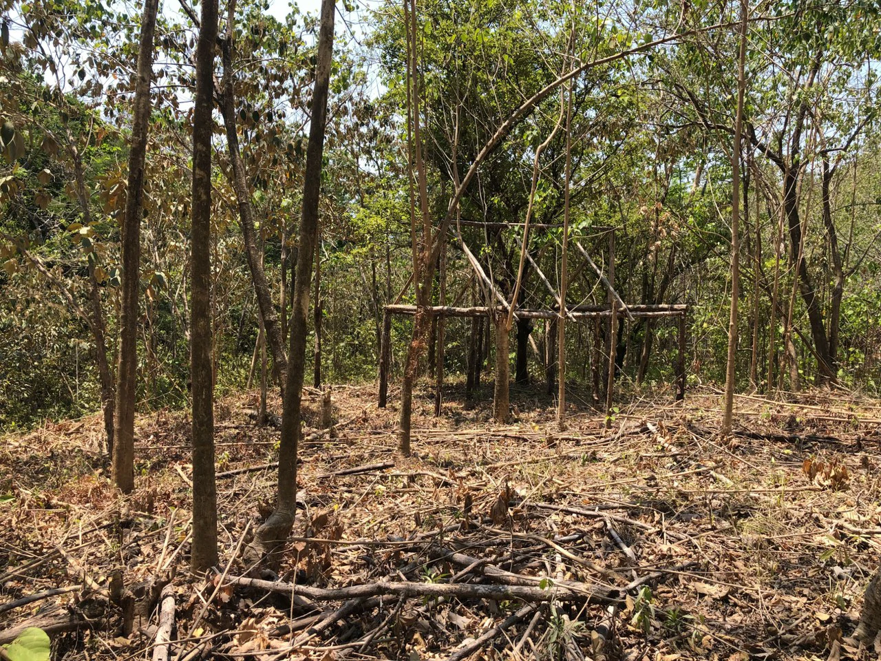 Prime Real Estate Opportunity, Lot with Creek Border in Santo Domingo hills - Gallery image 7