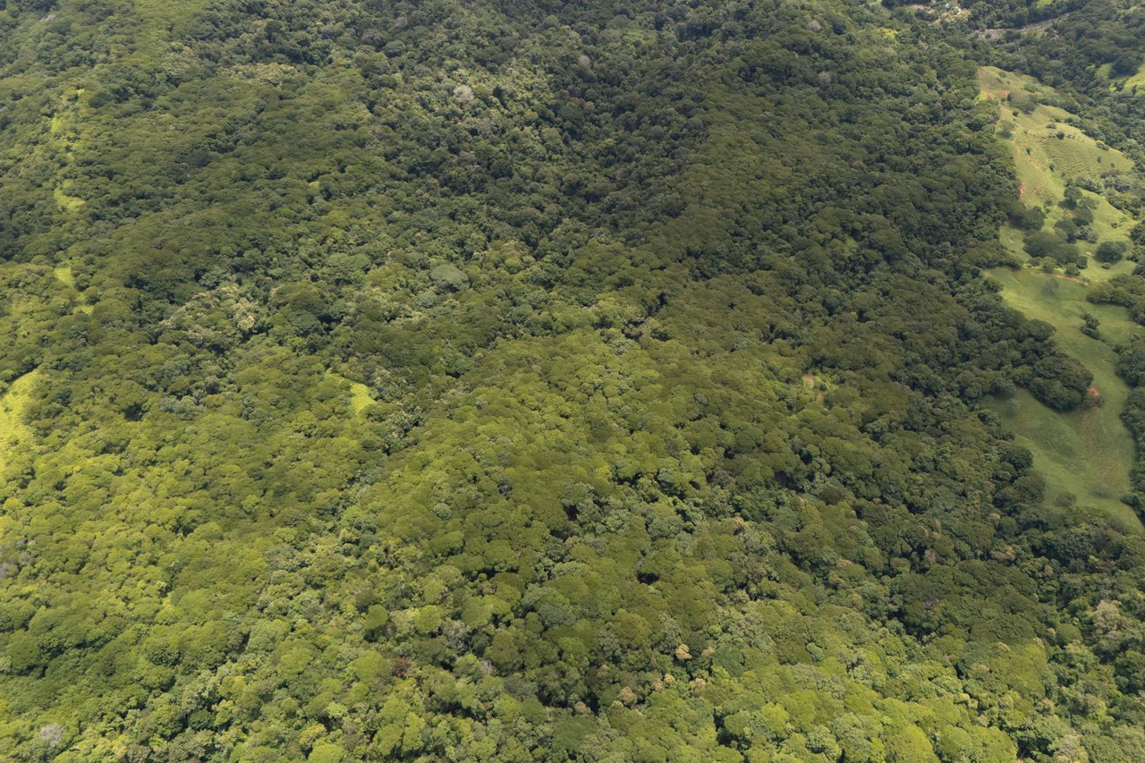 Near the Coast Home Construction Site For Sale in Dominical - Gallery image 9