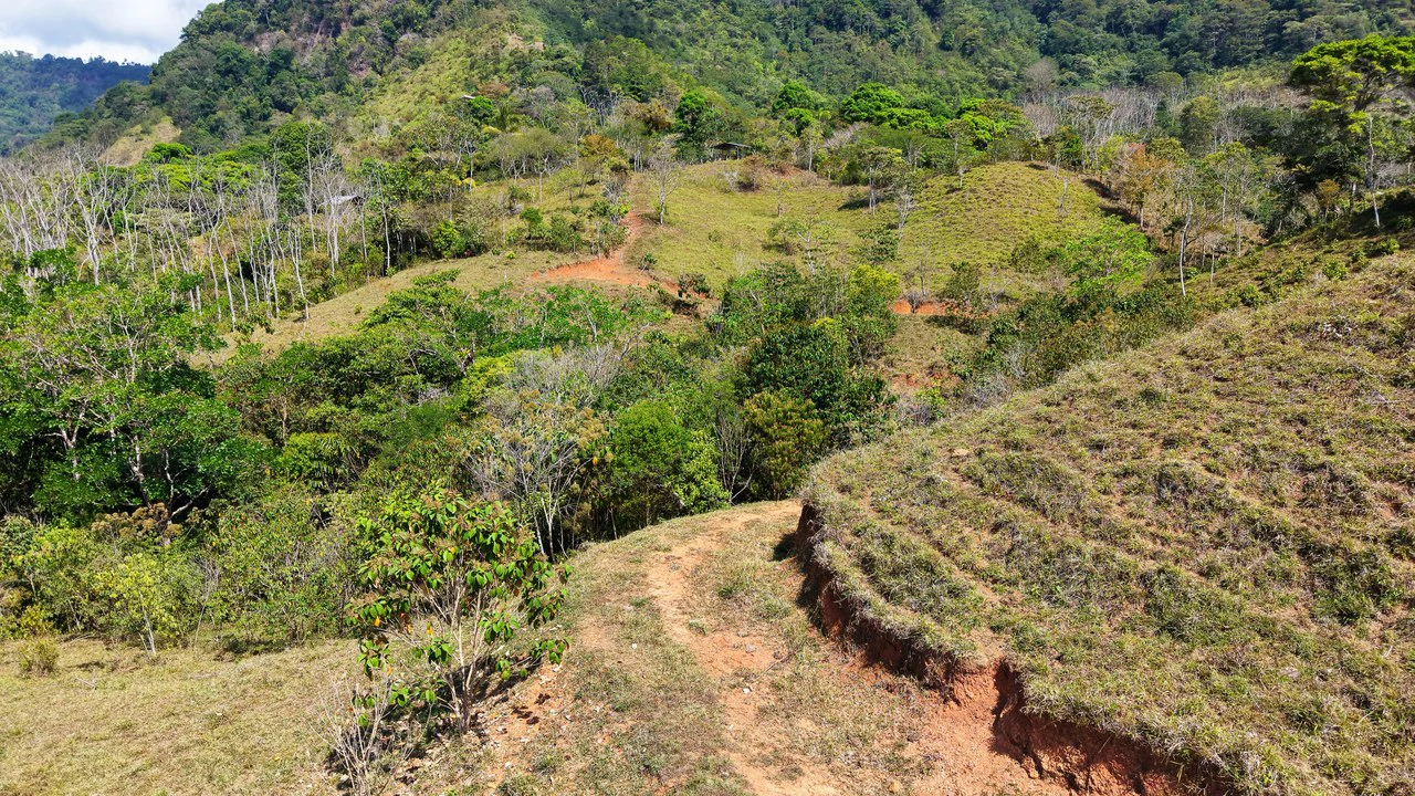 2.8 HA FARM FOR SALE IN SAN LUIS DE MORETE | MOUNTAIN VIEWS AND NEAR THE OCEAN - Gallery image 19