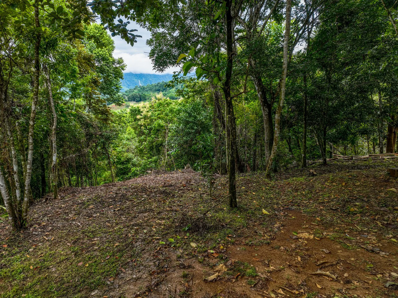 2.4 Acre Property In The Mountains Above Dominical with Waterfall Views - Gallery image 20