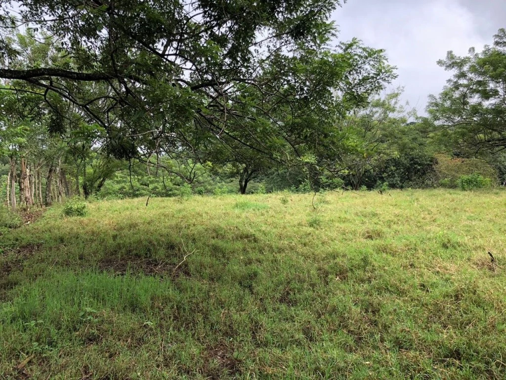 Commercial property in Guácima, Alajuela - Gallery image 2