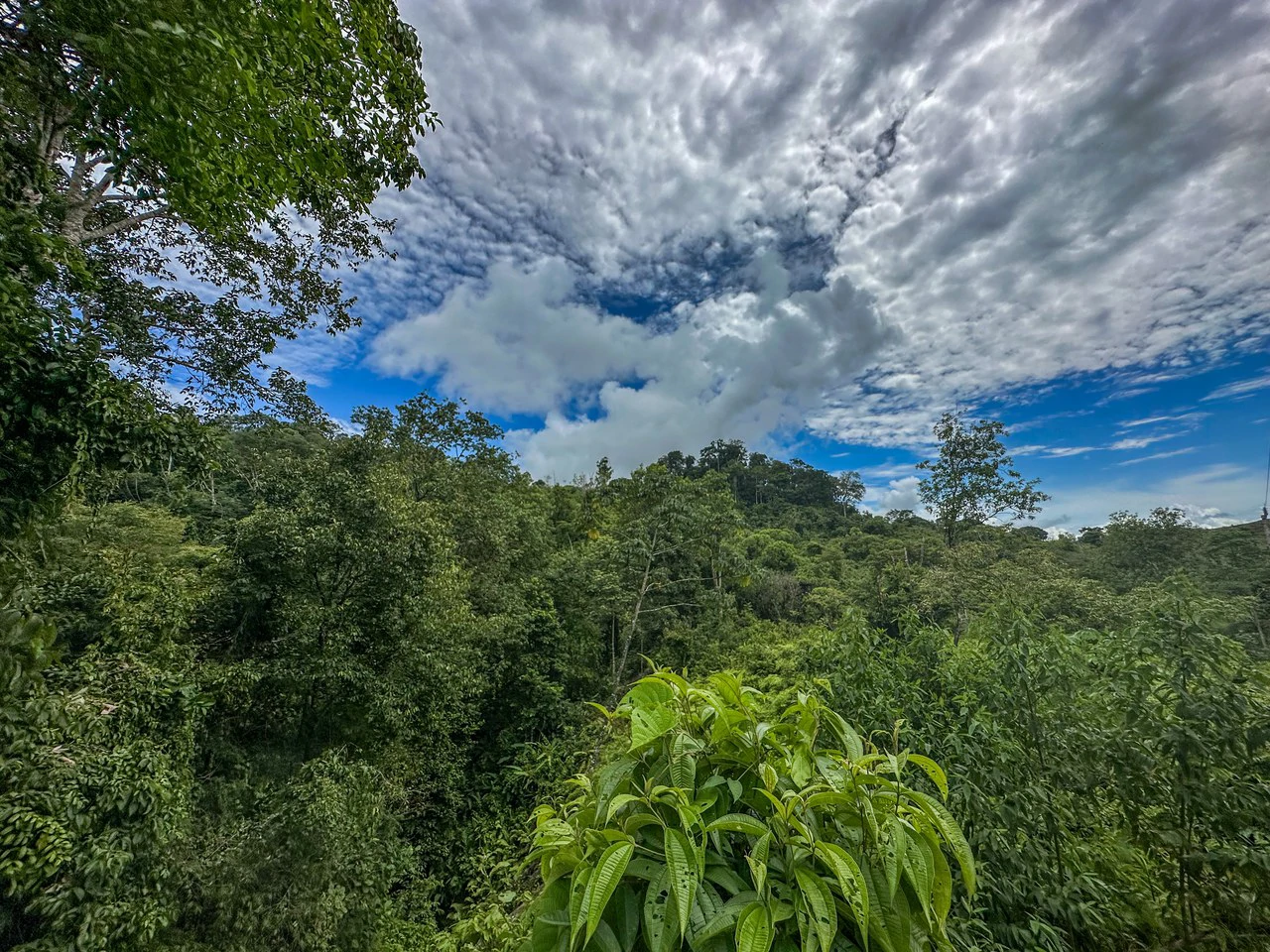 Costa Rican Gem with Conservation Potential: Preserve 26 Acres of Pristine Land - Gallery image 4