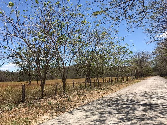 Huge terrain for sale in Guardia close to the International Airport of Liberia - Gallery image 42