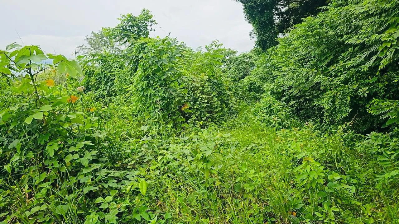 Ocean View lot for sale Coyote beach Guanacaste Costa Rica - Gallery image 6