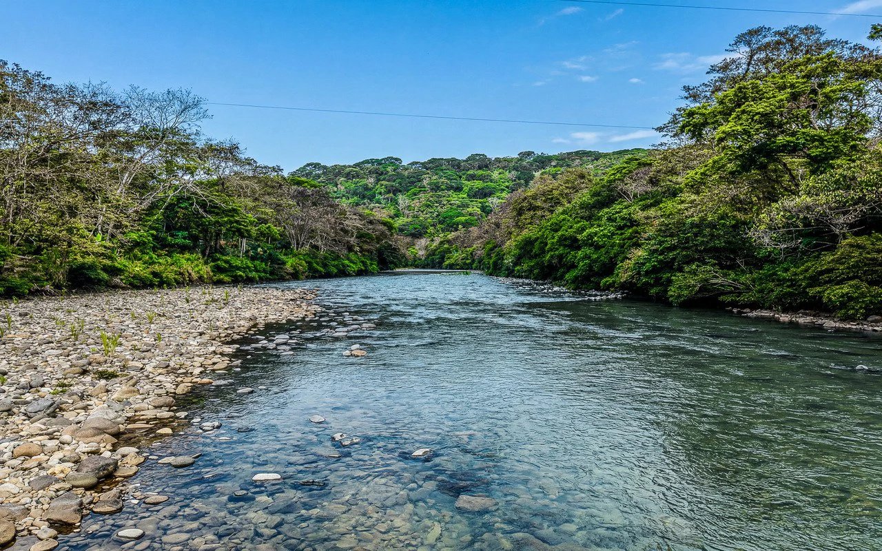 Riverfront Baru Estate Luxury Oasis Walkable to Playa Dominical - Gallery image 5