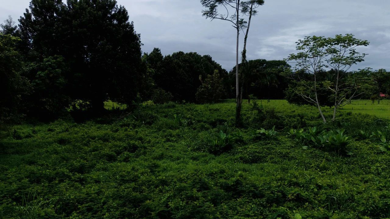 Strategic 5000sqm Commercial Property in Uvita: Perfect for any Business Vision - Gallery image 6
