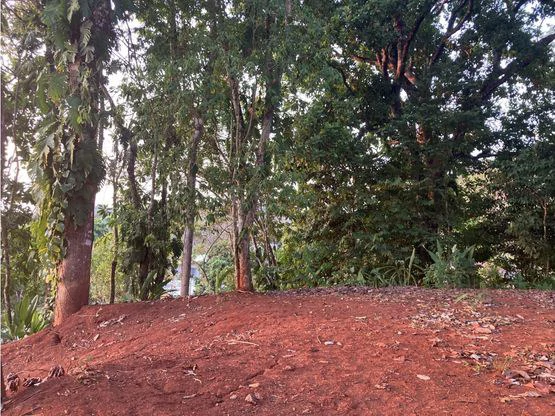 Home Construction Site For Sale in Jacó - Gallery image 6