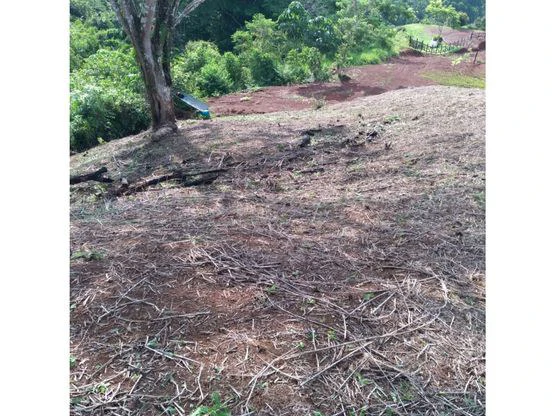Home Construction Site For Sale in Bijagual - Gallery image 4