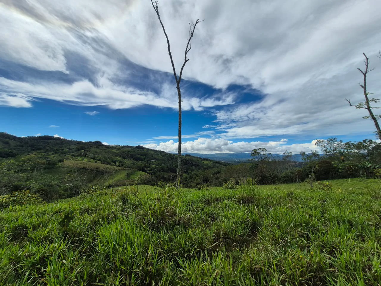 Countryside Home Construction Site For Sale in Daniel Flores - Gallery image 9