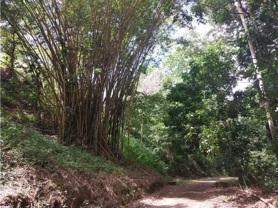 Home Construction Site For Sale in Jacó