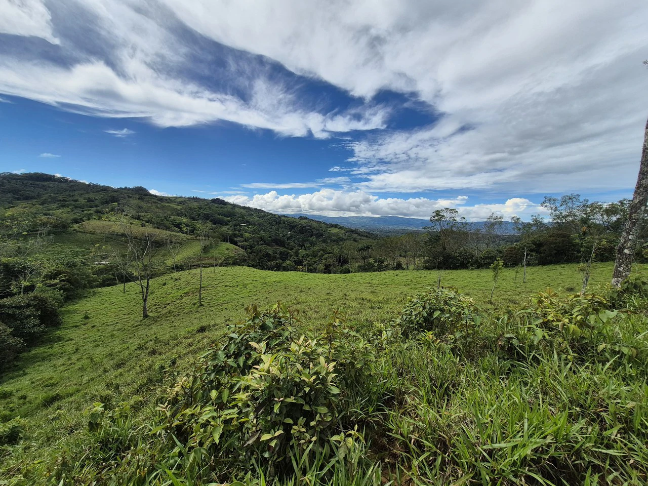 Countryside Home Construction Site For Sale in Daniel Flores - Gallery image 2