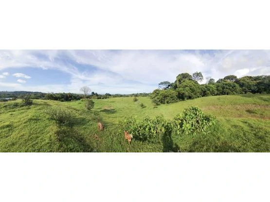Serene Jungle Farm in Limon Province - Gallery image 68