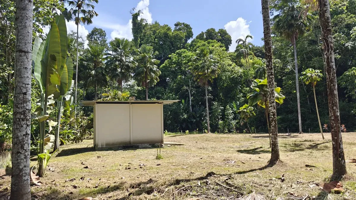ID 949: 1,547 sqm Build-Ready Lot Near Cahuita and Playa Grande - Gallery image 5