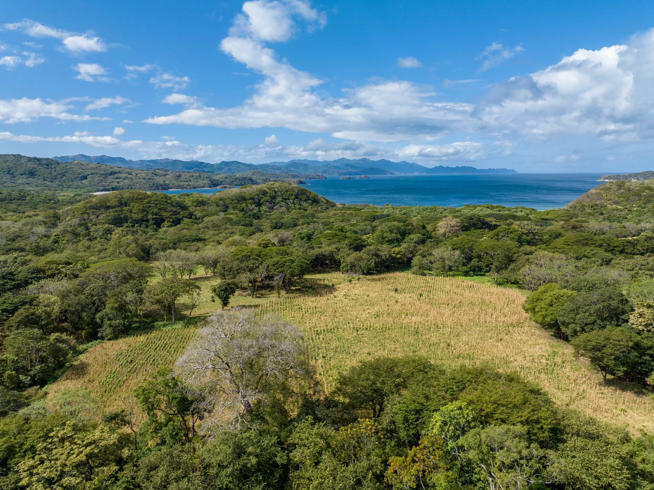 220 Acres Beachside Farm with Ocean View at Playa Junquillal in Guanacaste - Gallery image 35