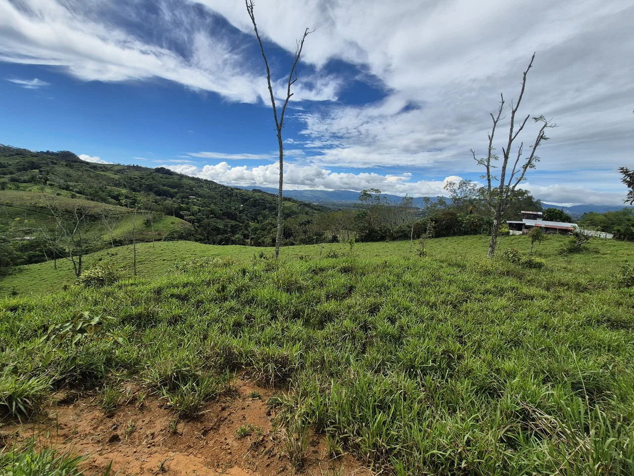 Countryside Home Construction Site For Sale in Daniel Flores - Gallery image 3