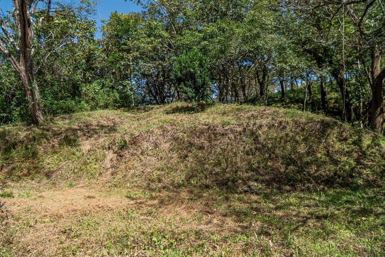 Silent Ridge: 2 Hectares With Ocean View - Gallery image 4