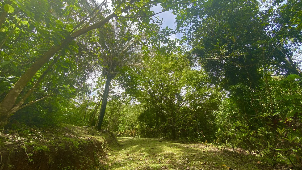 Mountain Home Construction Site For Sale in Tres Rios - Gallery image 15