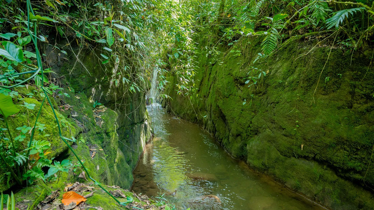 Riverfront Mushroom Farm & Private Waterfall Residence in Orosi - Gallery image 73