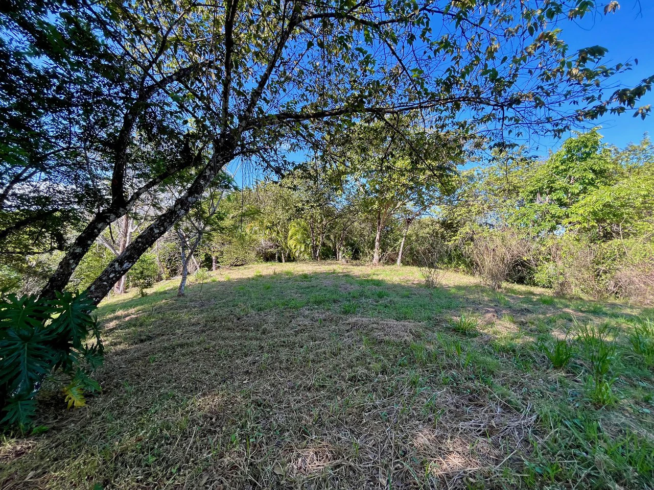 4000m2 Ready to Build Lot in Delicias: Partial Ocean Views in Great Neighorhood - Gallery image 8