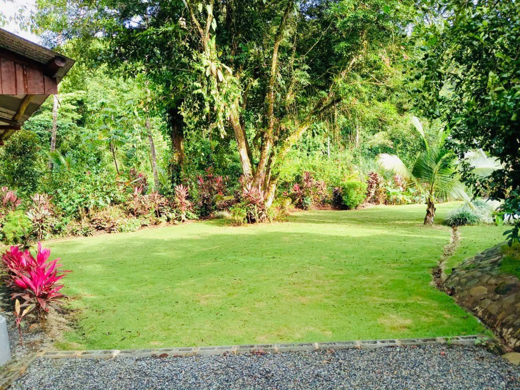Mountain Home Construction Site For Sale in Convento - photo 18