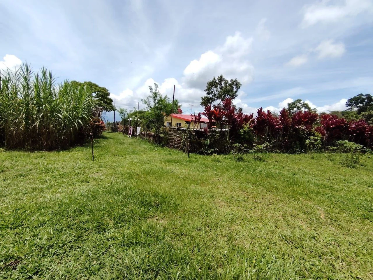 Lote en San Juan Bosco, Perez Zeledon, Costa Rica: Countryside Home Construction Site For Sale in Daniel Flores - Gallery image 8